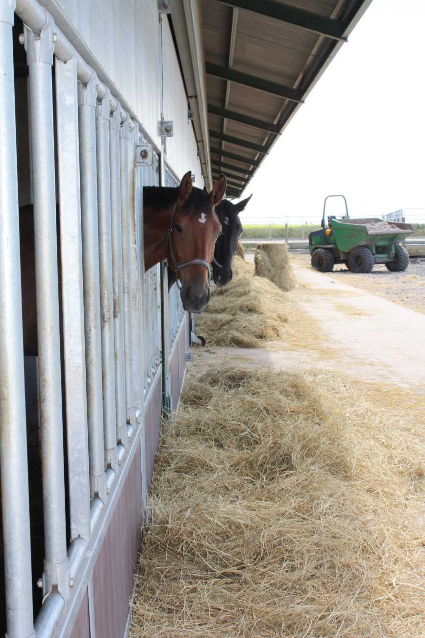 Equestrian Buildings