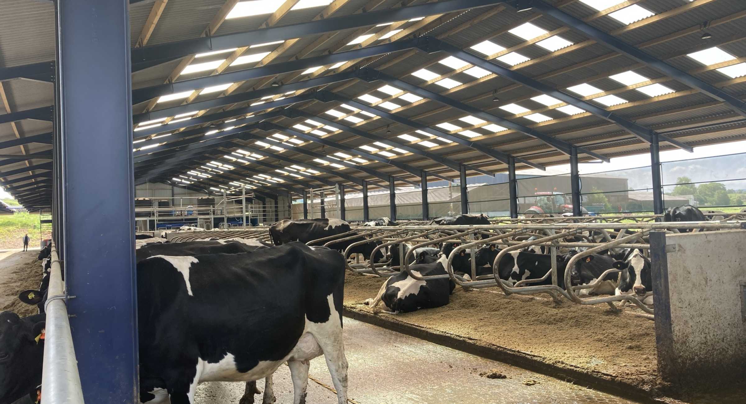 Dairy Housing