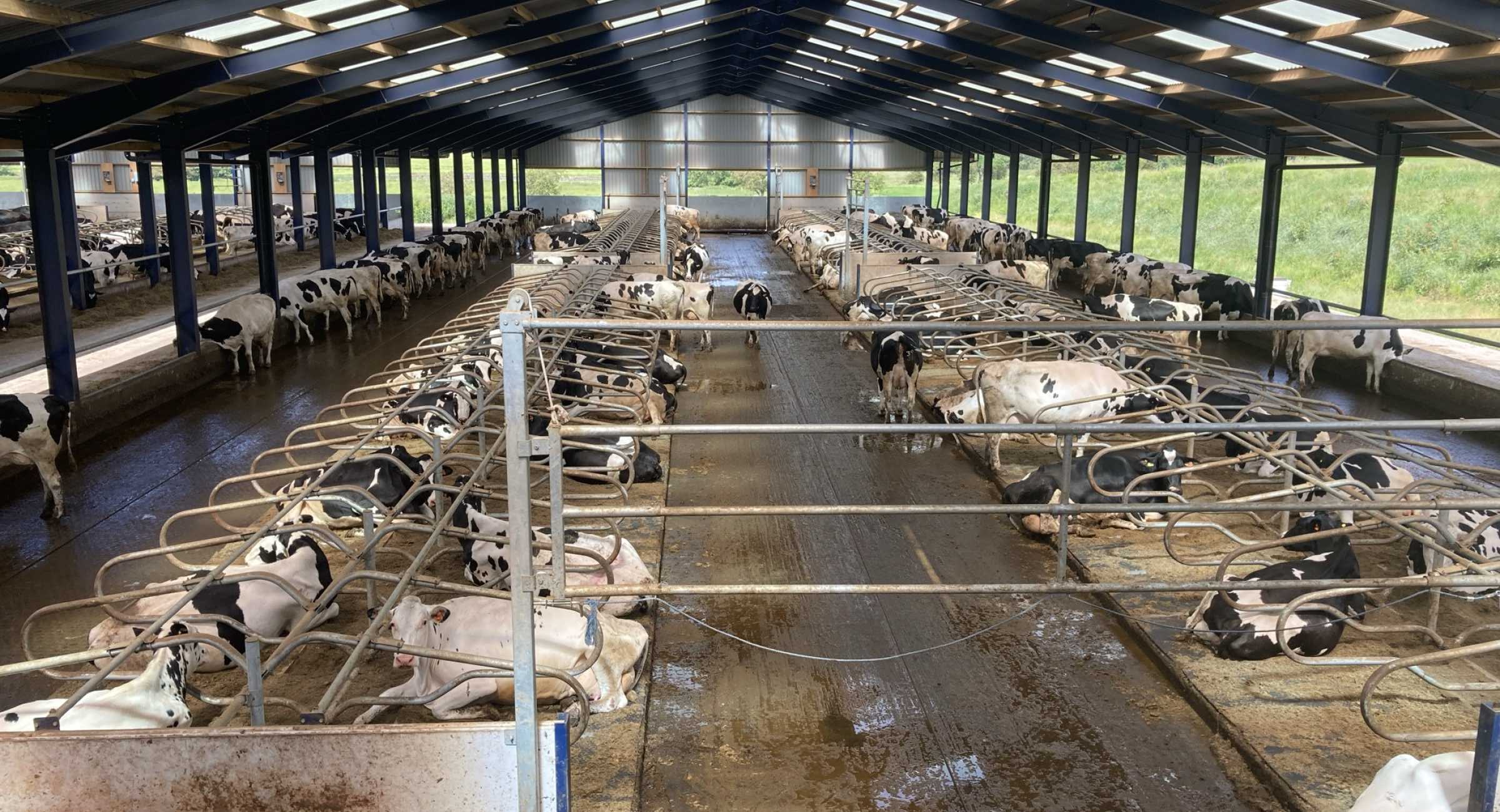 Dairy Housing