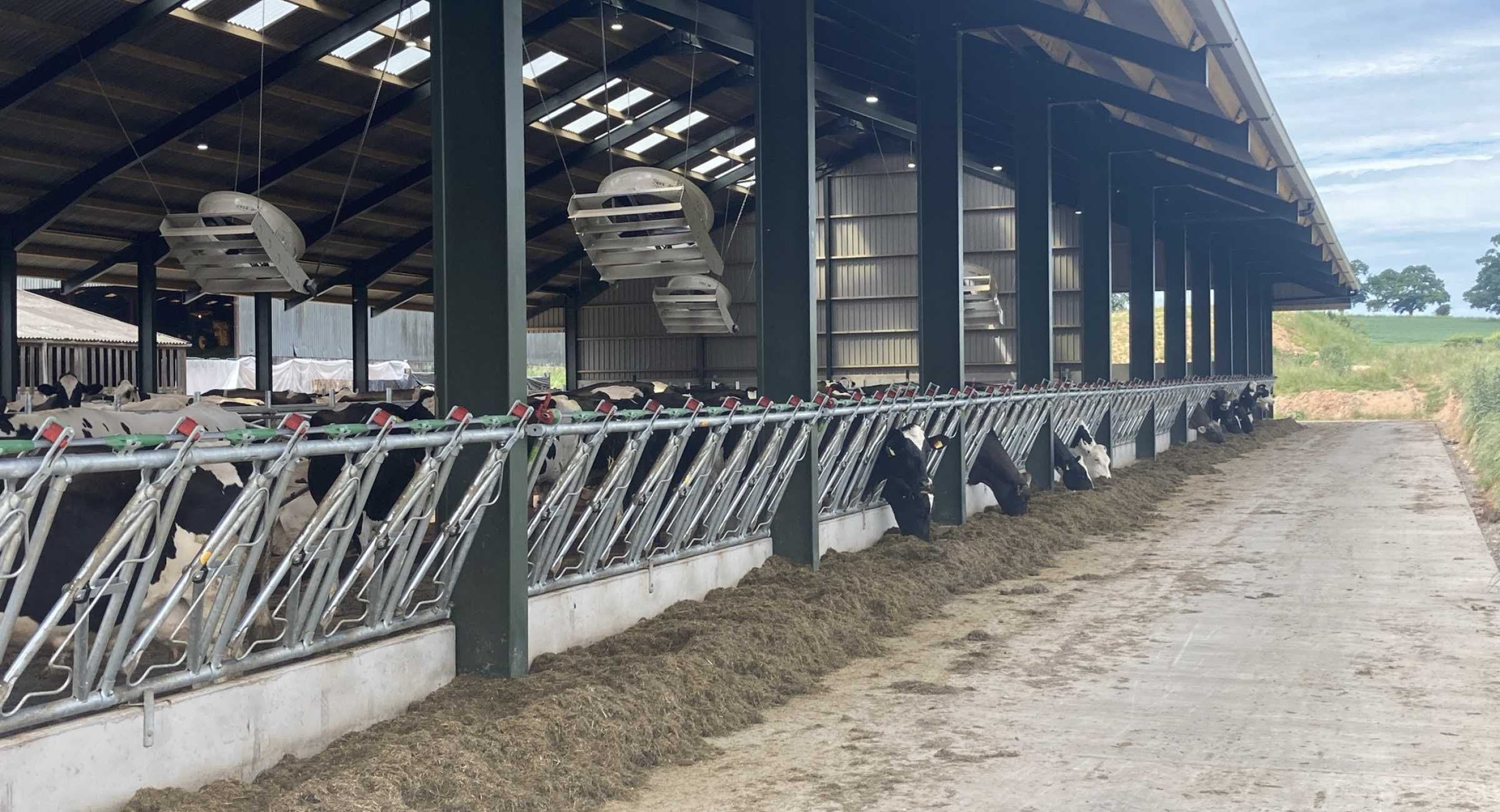 Dairy Housing