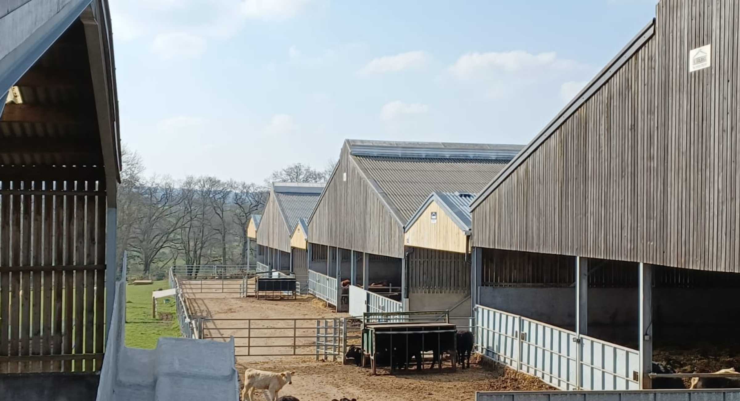 Dairy Housing