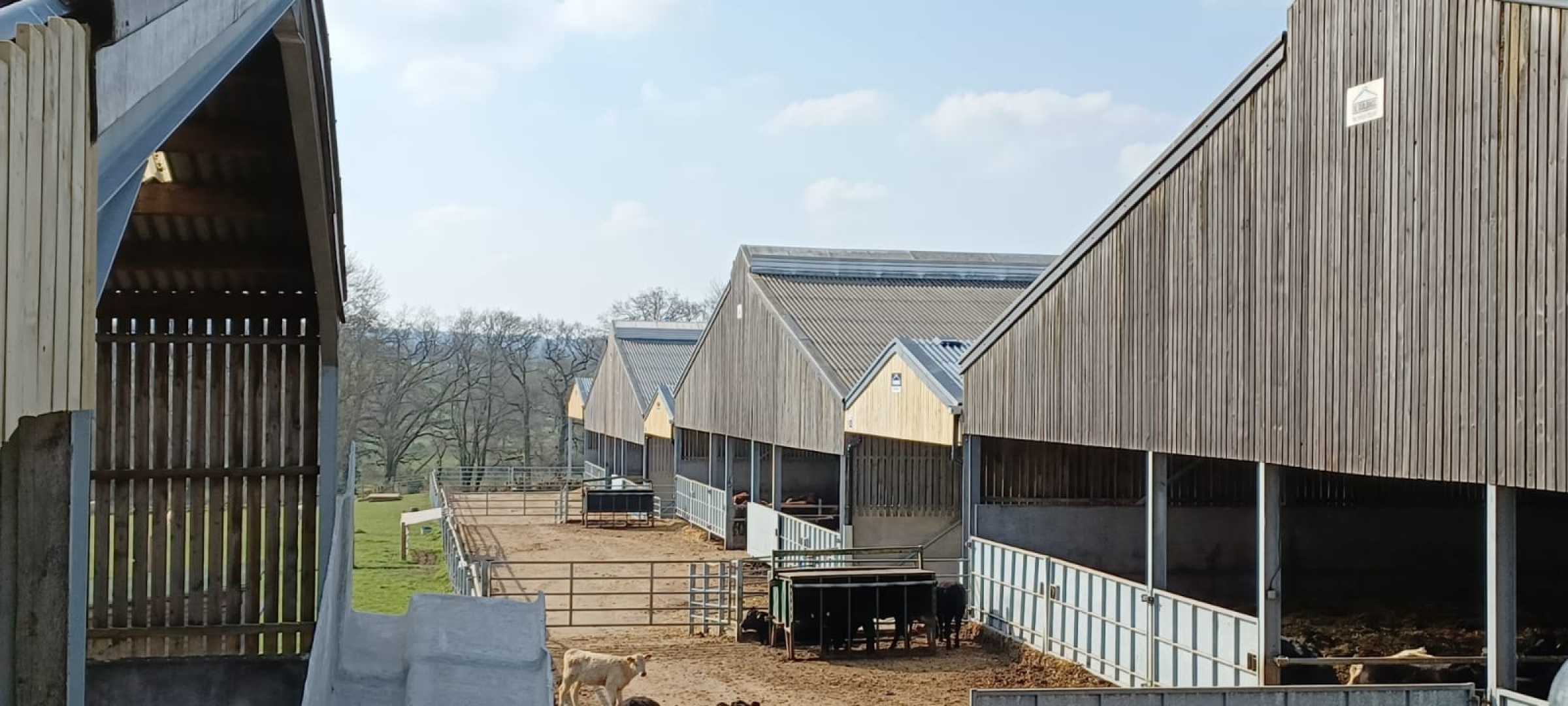 Dairy Housing