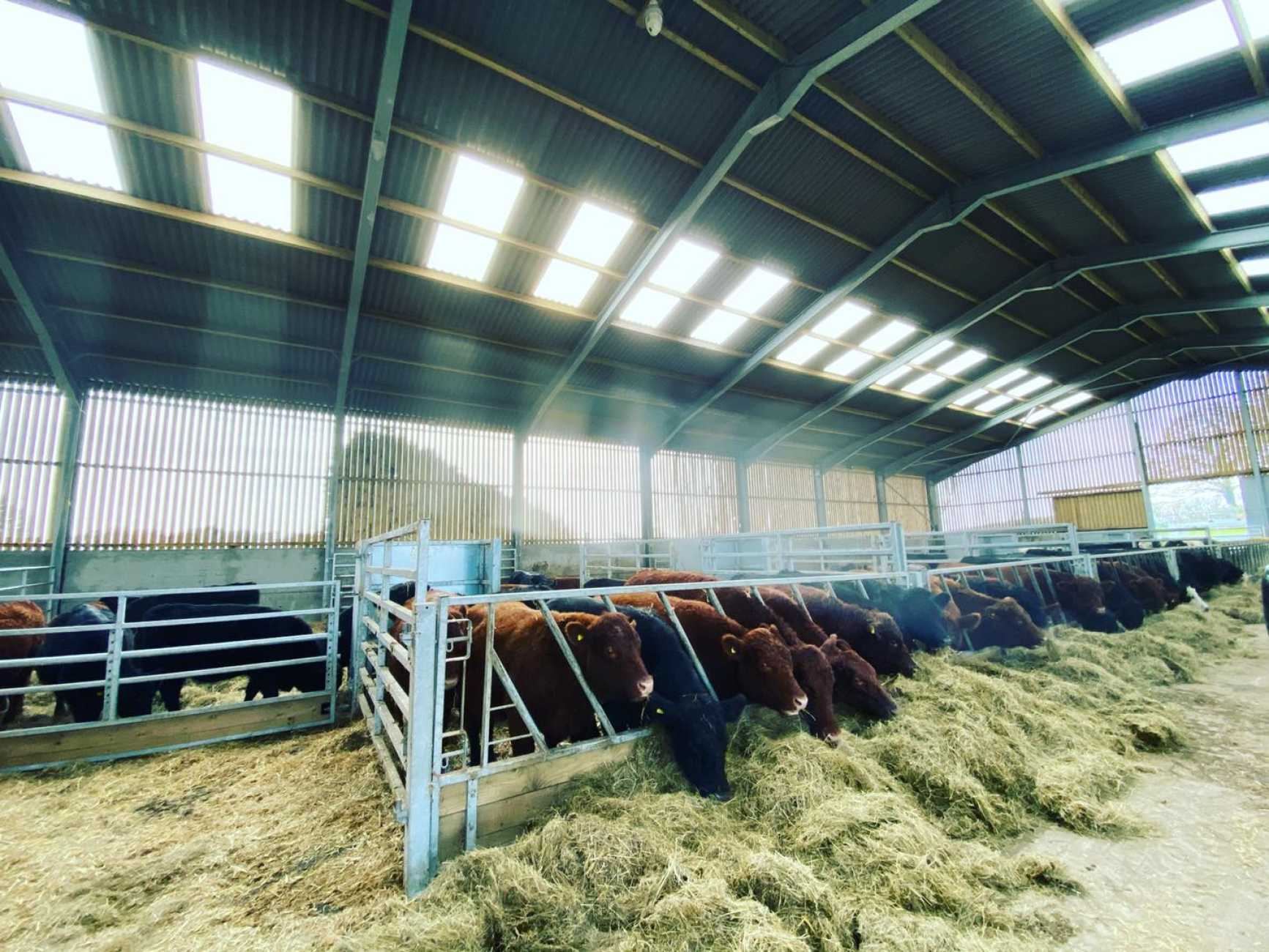 Cattle Building & Straw Storage